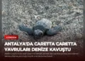 news card 48df645db8104b05