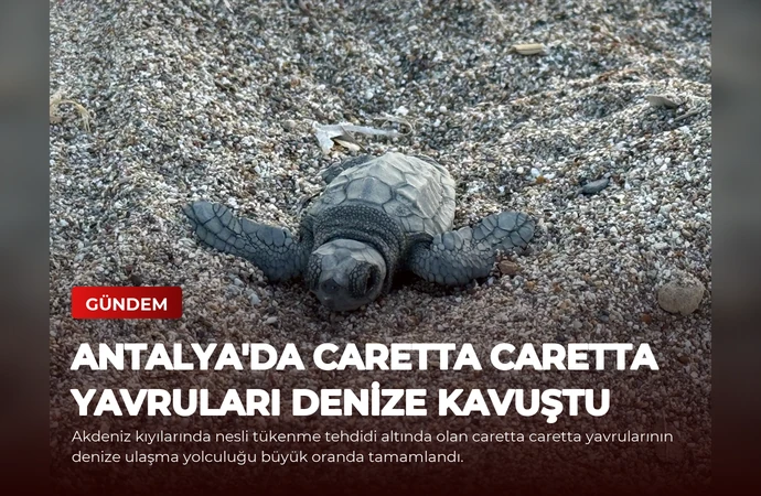 news card 48df645db8104b05