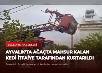 news card 490e2930aac53ce6