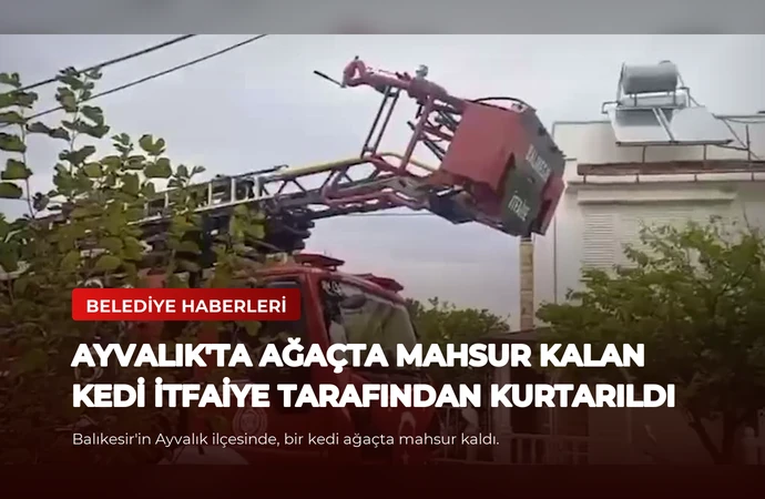 news card 490e2930aac53ce6