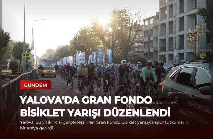 news card 4e50751d20d97ef5
