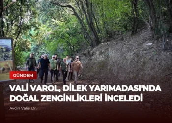 news card 5107f01fcf2e041f