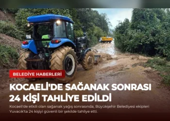 news card 52cb01b49e416666