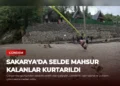 news card 539932c2fd89541c