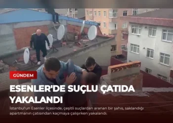 news card 54b042cca0a1591a