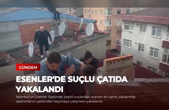 news card 54b042cca0a1591a