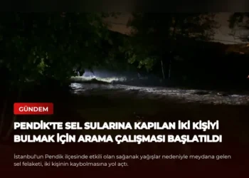 news card 551f8151b5a81d63
