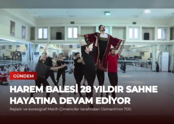 news card 56c259adc4edbe0d