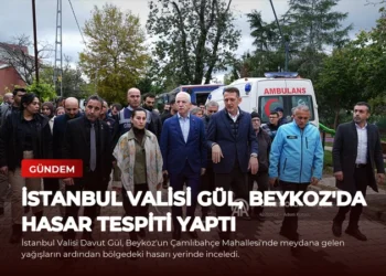 news card 5aa355ee7e7c697d