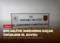news card 6126050173f5e543