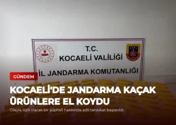 news card 6126050173f5e543