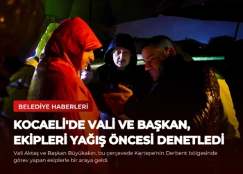 news card 6246cec284194394
