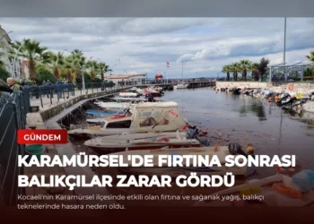 news card 6262cfe801199aff