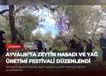 news card 62c0553bd6bdb12b