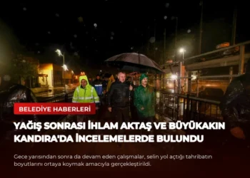 news card 65dfe2423b4a1e94