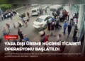 news card 672a08759594ef1f