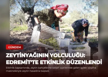 news card 683796fa27f4f1b5