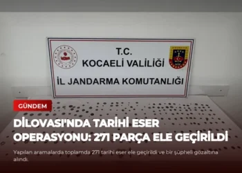 news card 68716cfaee73a952