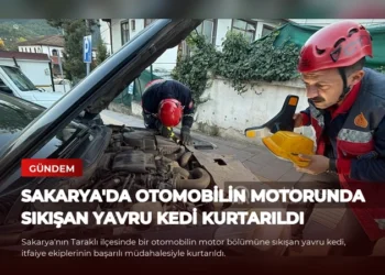 news card 6953709e4eeeee61