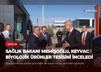 news card 696be96d59284e87