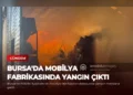 news card 6c62471459020f0b