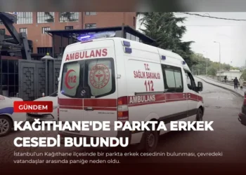 news card 6c6d9ae318ed1750