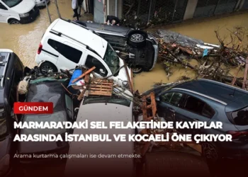 news card 6e3a0cfe281a0f57