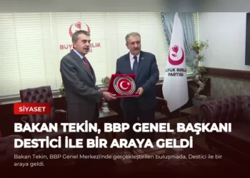 news card 7282ccd51dc158dc