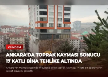 news card 736ef7311d18b379