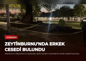 news card 7a69b8d0cf664ded