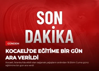 news card 7f47349c365b5d61