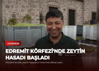 news card 8131be722829d08d