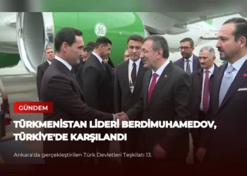 news card 813f90a3885255a3