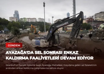 news card 82dd2d187ef27622
