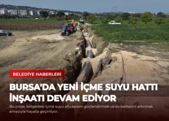 news card 84e1eab9370efd4f