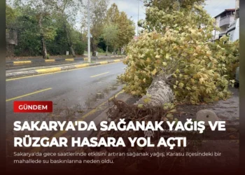 news card 86f2323bb0e6107b