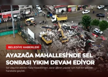 news card 87c8225e3a885372