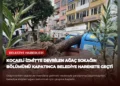 news card 8c618dbc86a57d11