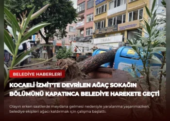 news card 8c618dbc86a57d11