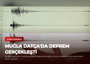 news card 8d8bc4ce28d8587d