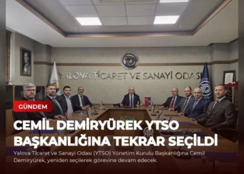 news card 8f1907b9911b66ab