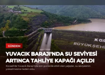 news card 90ab661f9c2ed039