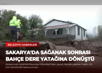 news card 91e438baa02382e1