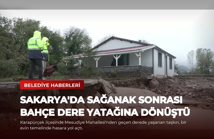 news card 91e438baa02382e1