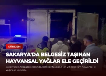 news card 953b189c8e5c17a7