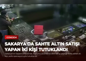 news card 9544c606ce96d6a1