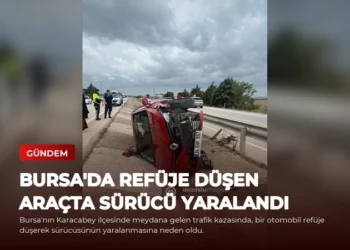 news card 967c41edf32cf370