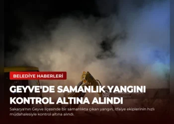 news card 97aee7ce908541e7