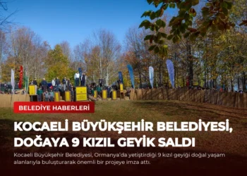 news card 97aefb031d201784