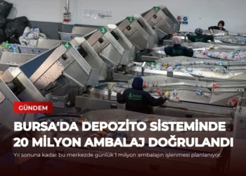 news card 98237b5a3b3c9c4d